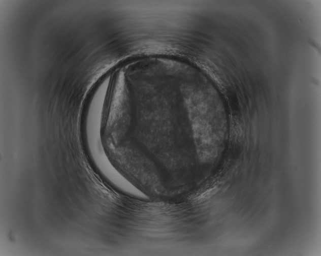 X0000097660391200803280955