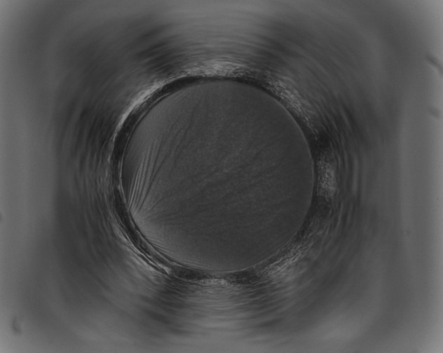 X0000097660392200803280955