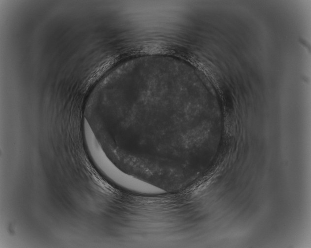 X0000097660393200803280955