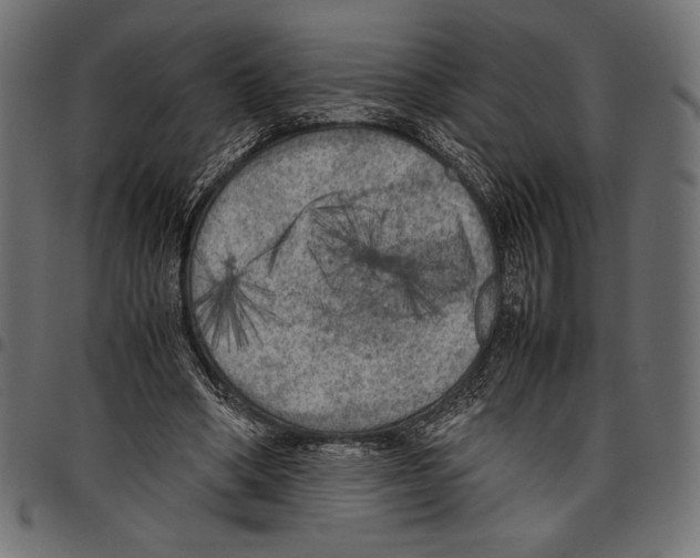 X0000097660394200803280955