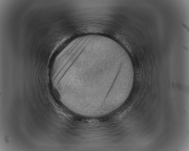 X0000097660395200803280955