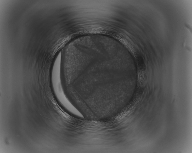 X0000097660397200803280955