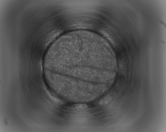 X0000097660398200803280955