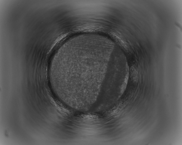 X0000097660400200803280955