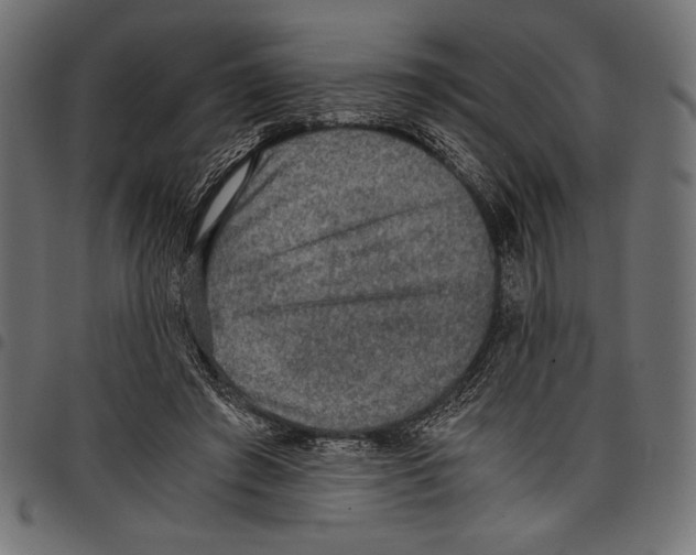 X0000097660401200803280955
