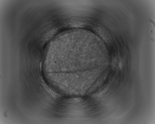 X0000097660402200803280955