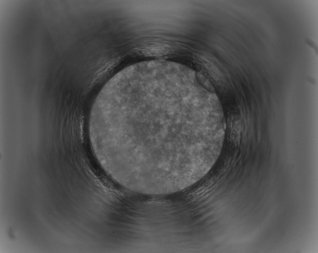 X0000097660404200803280955