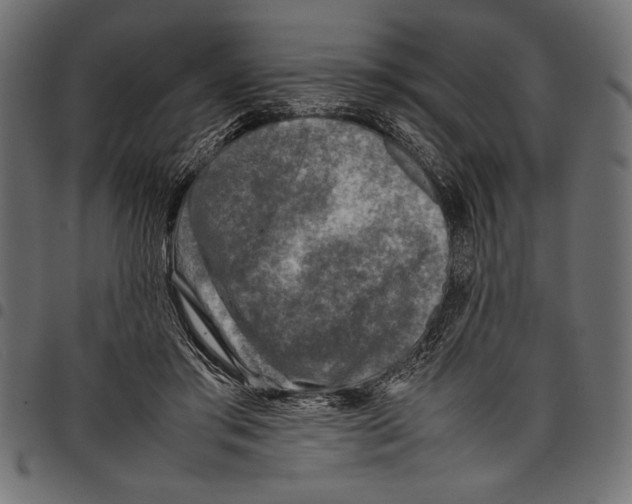 X0000097660405200803280955