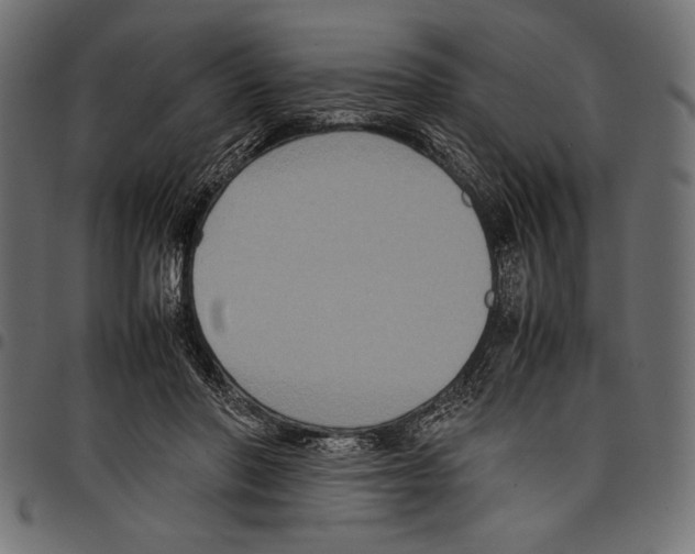 X0000097660406200803280955