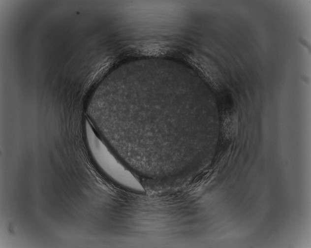 X0000097660407200803280955