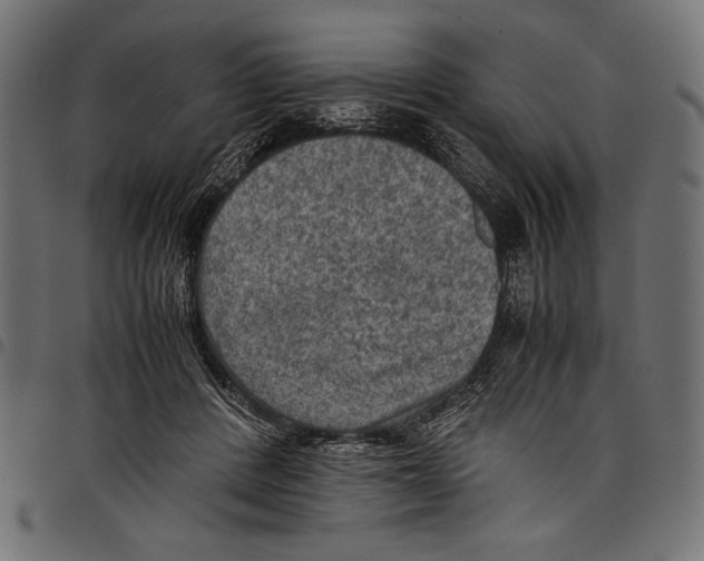 X0000097660408200803280955