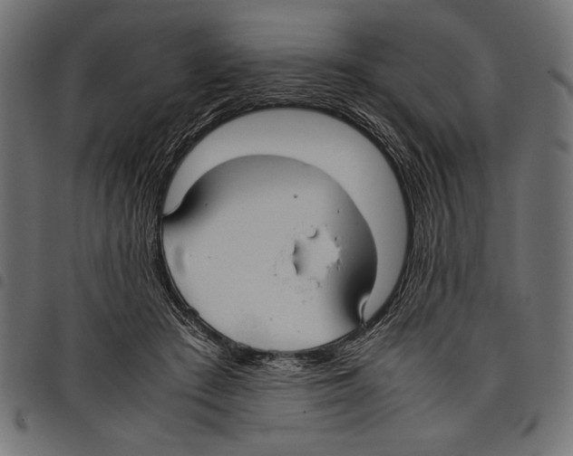 X0000097660409200803280955