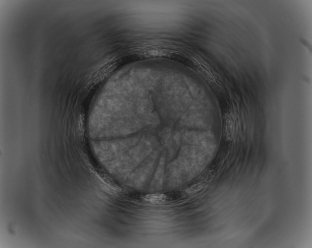 X0000097660410200803280955