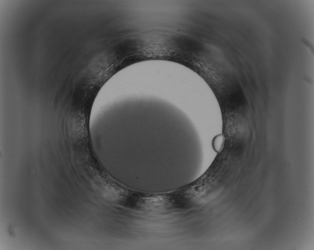 X0000097660411200803280955
