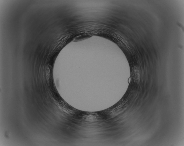 X0000097660412200803280955