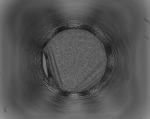 X0000097660413200803280955