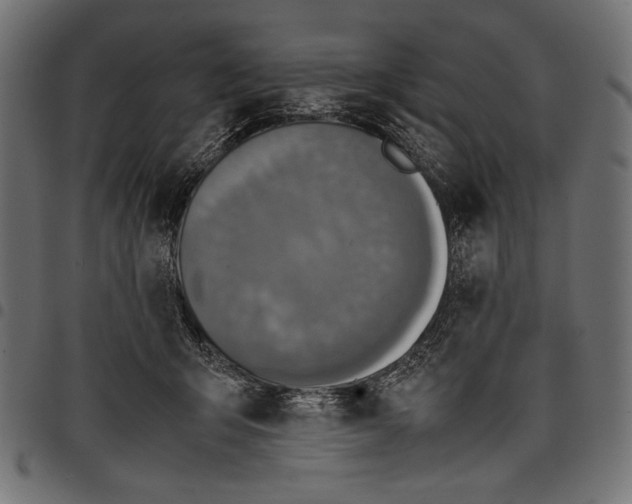 X0000097660415200803280955