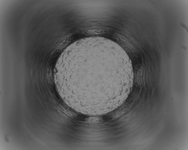 X0000097660418200803280955