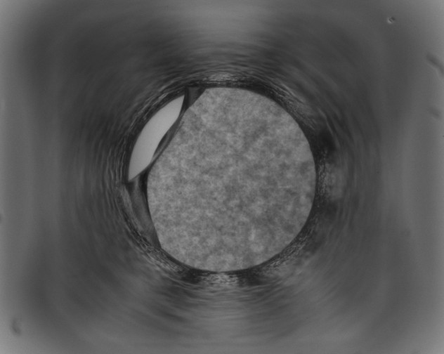 X0000097660421200803280955