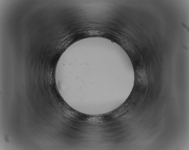 X0000097660422200803280955