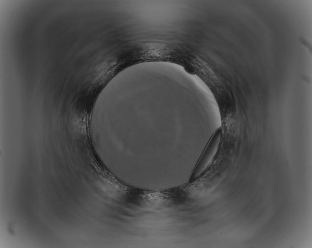 X0000097660423200803280955
