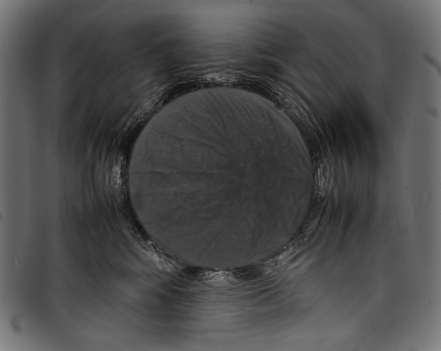 X0000097660424200803280955