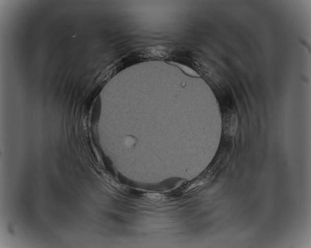 X0000097660425200803280955