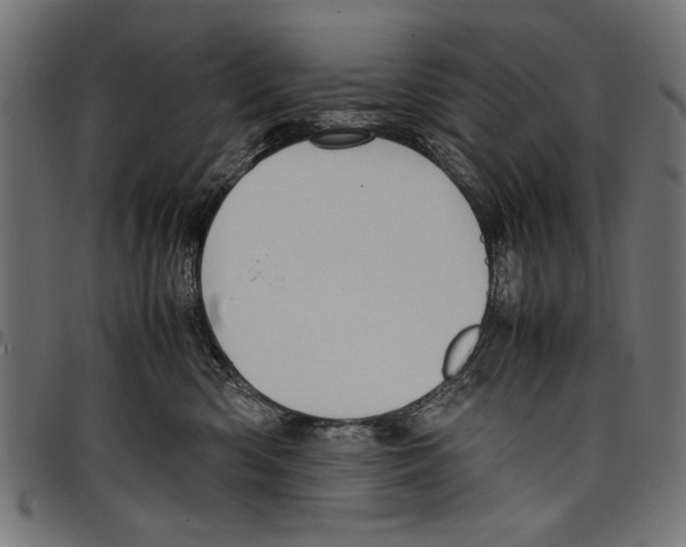 X0000097660426200803280955