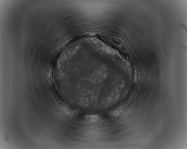 X0000097660428200803280955