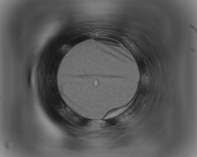 X0000097660429200803280955