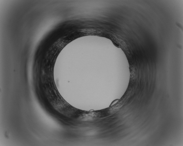 X0000097660430200803280955