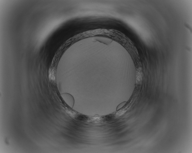 X0000097660431200803280955