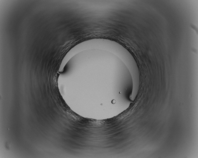 X0000097660432200803280955