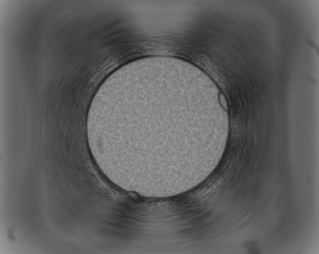 X0000097660433200803280954