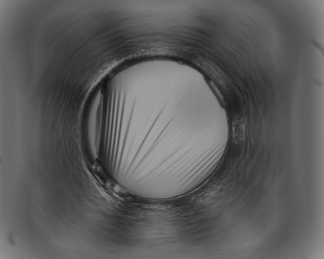 X0000097660436200803280954