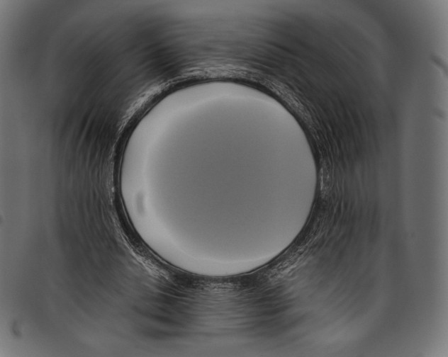 X0000097660438200803280954