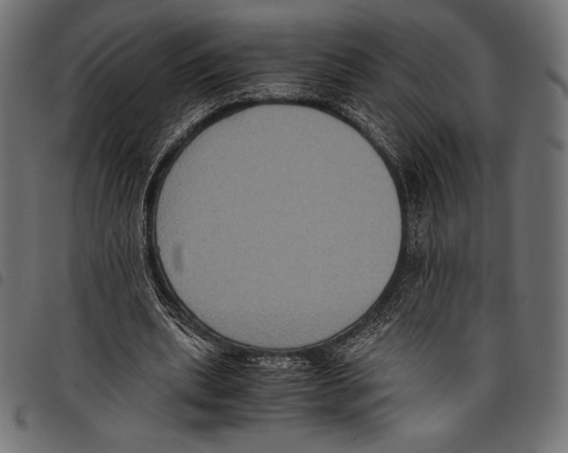 X0000097660439200803280954