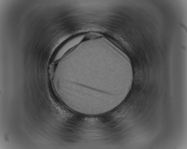 X0000097660440200803280954
