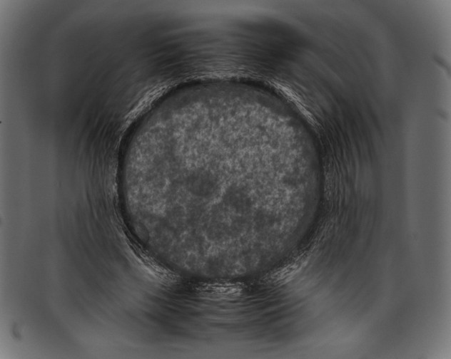 X0000097660443200803280954