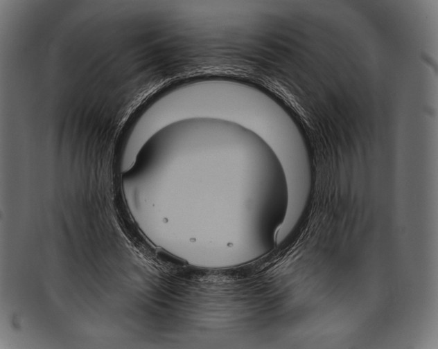 X0000097660444200803280954