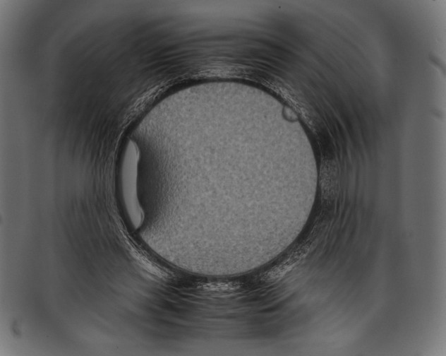 X0000097660445200803280954