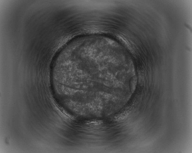 X0000097660447200803280954