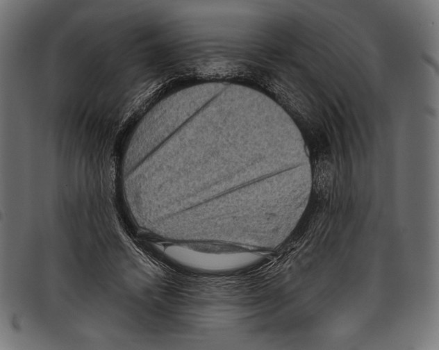 X0000097660448200803280954