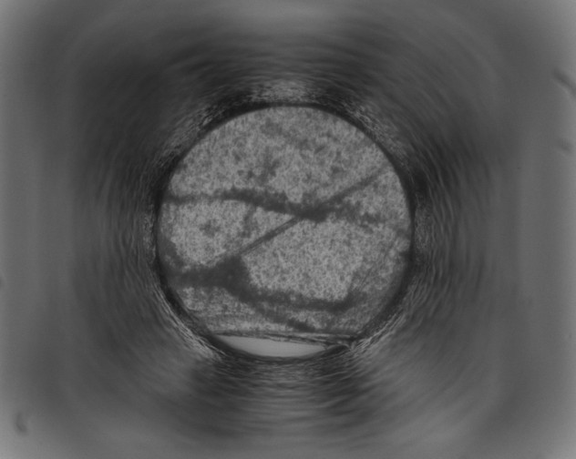 X0000097660449200803280954