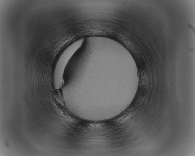 X0000097660450200803280954