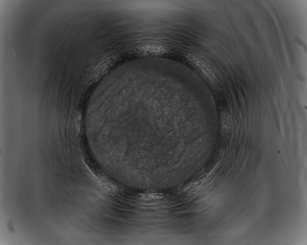 X0000097660451200803280954