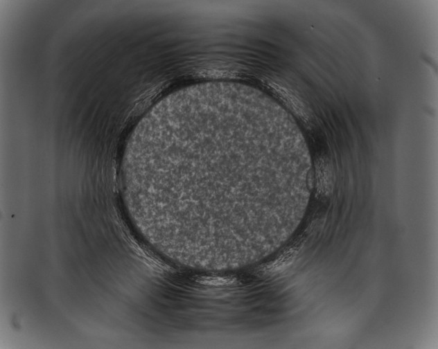 X0000097660453200803280954