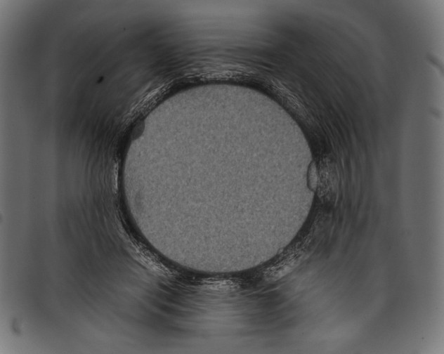 X0000097660454200803280954