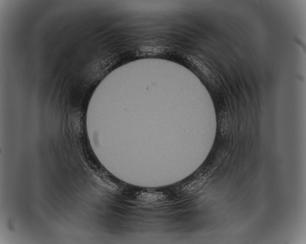 X0000097660455200803280954
