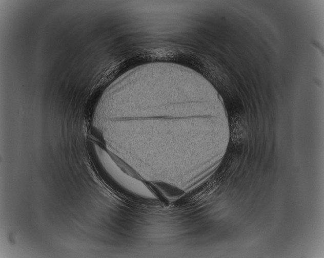X0000097660456200803280954